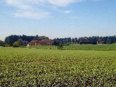 Hofgut Rineck (Alt Rineck)