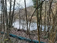 Hohbergsee Lahr