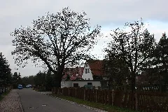 Hohenossig (Krostitz), The Südstraße