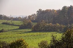 Hohenstein 2014 03