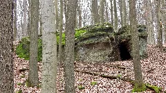 Hohlenstein Holzer Konglomerat (16)