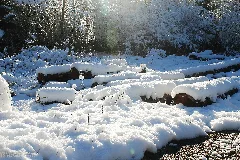 Holz Vom Schnee Bedeckt Panoramio