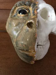 Homo Naledi Facial Reconstruction
