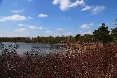 Hopsten Erdfallsee 14