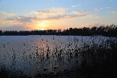Hopsten Erdfallsee 18