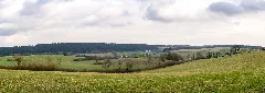 Horn Bad Meinberg 2016 02 11 Zollstockweg Richtung Kempen (6) Pano