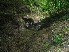 Hubackertobel