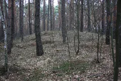 Huegelgrab Bei Scholis