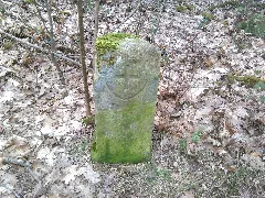 Hüttigweiler12A