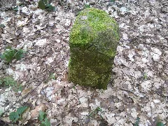 Hüttigweilernr14