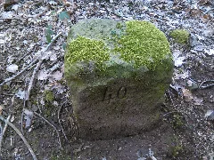 Hüttigweilernr40