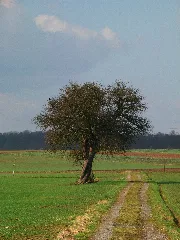 Hug Panoramio