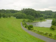 Husen Dalheim (Rückhaltebecken)