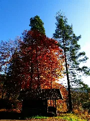 Hut In Autumn Panoramio