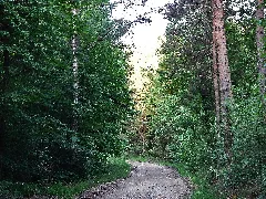 Hw3, Main Neckar Rhein Weg, Pulzweg Panoramio