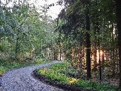Hw3, Main Neckar Rhein Weg Trudelwaldweg Panoramio
