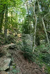 Ibachfälle Panoramio (1)