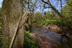 Ill Im Burgpark In Illingen