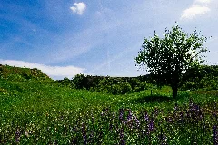 Im Kalksteinbruch Rosengarten Blick Nach Südost