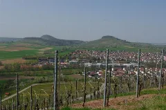 Im Weinberg Lichtenberg Geograph.org.uk 9164
