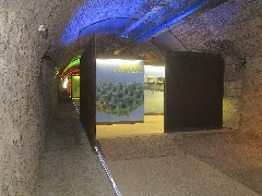 Im Zeittunnel