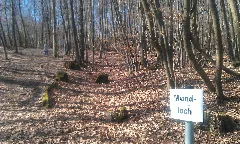 Imag0674
