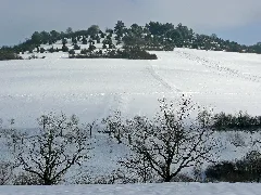 In Der Nähe Von Dachtel Panoramio