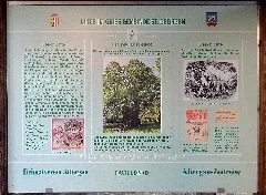 Infoboard Linde Im Gries 01, Sankt Georgen Im Attergau