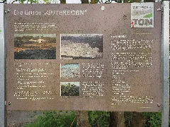 Infoboard Tongrube Guterborn