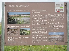 Infoboard Tongrube Pfeul