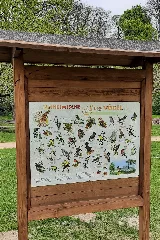 Infotafel Singvögel