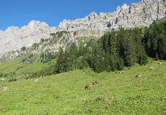 Into A High Glacial Clearing Panoramio