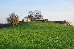Irgenhausen Castrum Img 5389