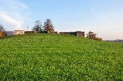 Irgenhausen Castrum Img 8147