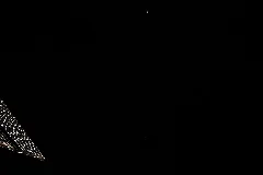 Iss053 E 382751 View Of Earth