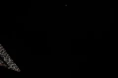 Iss053 E 382752 View Of Earth