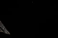 Iss053 E 382767 View Of Earth