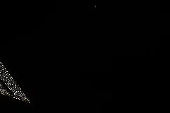 Iss053 E 382768 View Of Earth