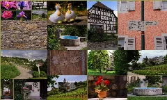 Istein (Efringen Kirchen, Lörrach, Baden Württemberg, Germany) Collage, Spring, 2010