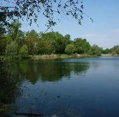 Jägerweiher Panoramio