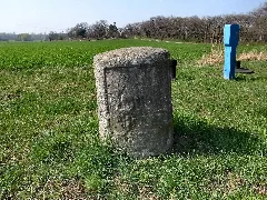 Jeßnitz(Anhalt),Meilenstein
