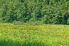 Jestetten Naturschutzgebiet Kapellenhalde Wüster See Bild 2