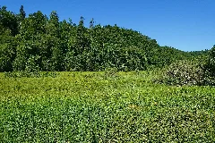 Jestetten Naturschutzgebiet Kapellenhalde Wüster See Bild 3