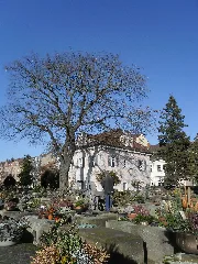 Johannisfriedhof Nürnberg Anfang Dezember 2013 09