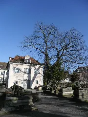 Johannisfriedhof Nürnberg Anfang Dezember 2013 11