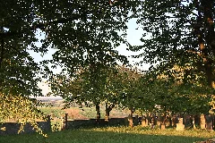 Judenfriedhof Weikersheim 02