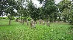 Jüdischer Friedhof Grünstadt