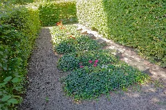 Jüdischer Friedhof Remscheid Bliedinghausen Reihengräber