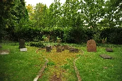 Jüdischer Friedhof (Rheinbach)