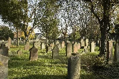 Jüdischer Friedhof Wachenheim